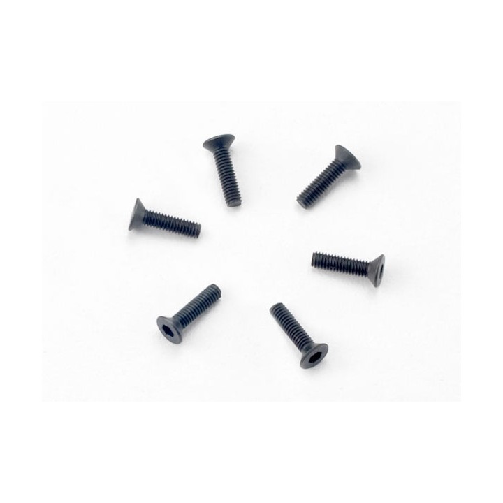TRAXXAS-komplet śrub M 2,5 x 10mm