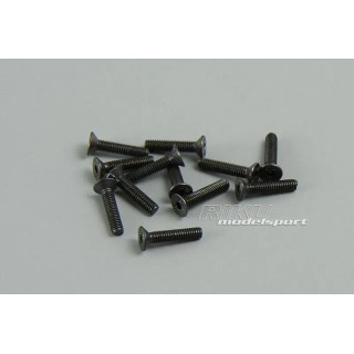 BSD - komplet śrub 2,5mm x 12mm (12szt.)