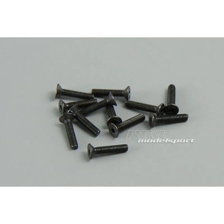 BSD - komplet śrub 2,5mm x 12mm (12szt.)