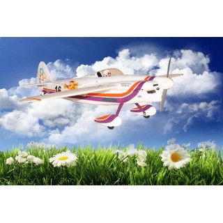 Model SEA - SHOESTRING N16V 