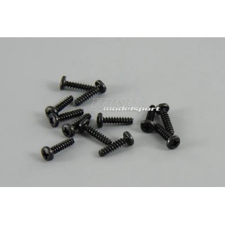 BSD - komplet wkrętów 3x12mm (12szt.)