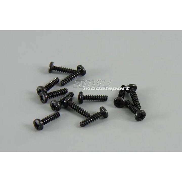 BSD - komplet wkrętów 3x12mm (12szt.)