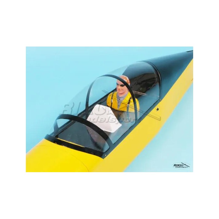 Model SEA - YAK 54 ( 91 )