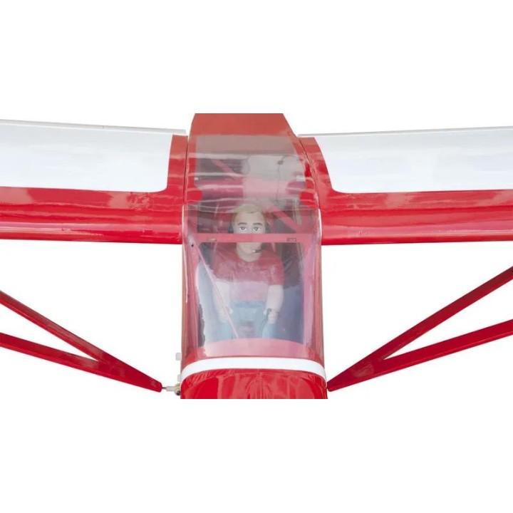 Model SEA - SAVAGE CRUISER 