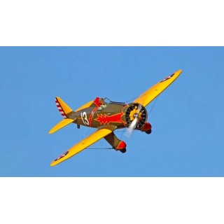 Pursuit Squadron P-26A .30 - model      