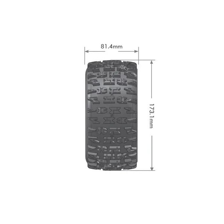 LOUISE ST-PIONEER 1/8 STADIUM TRUCK