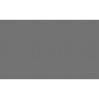 Farba   AUTO - rees grey