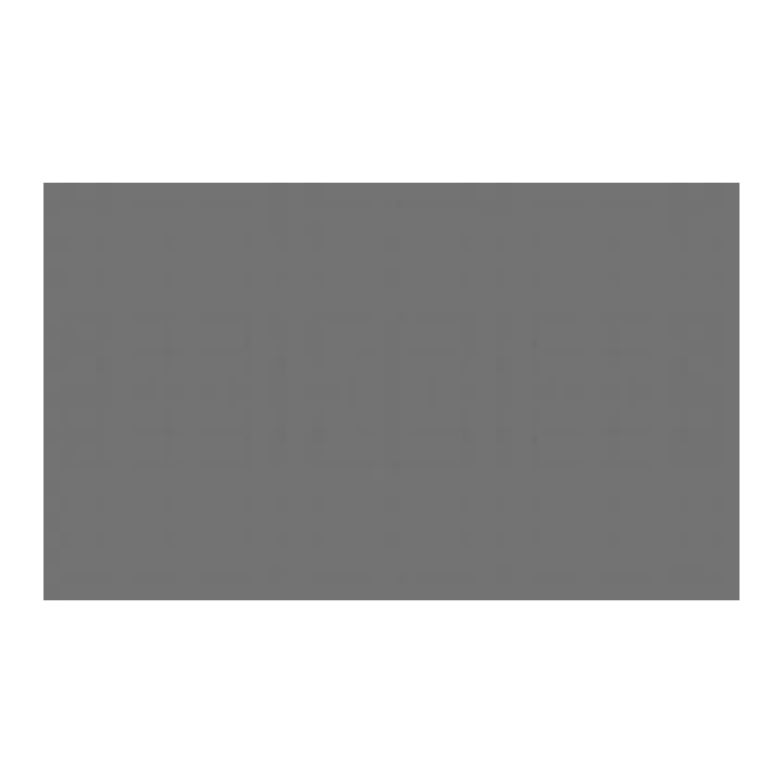 Farba   AUTO - rees grey