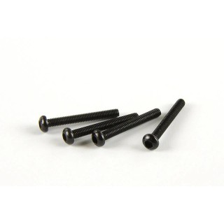 BSD TK-16 - komplet śrub z łbem walcowym