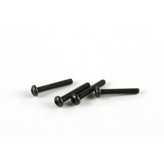 BSD TK-16 - komplet śrub z łbem walcowym